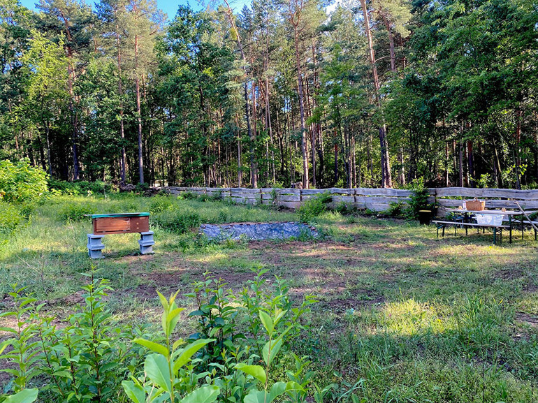 Arıcılık kültürünü koruyalım