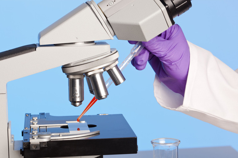 Uzun yaşayanların kanında ne var Kaderimiz tamamen genlerimize mi bağlı