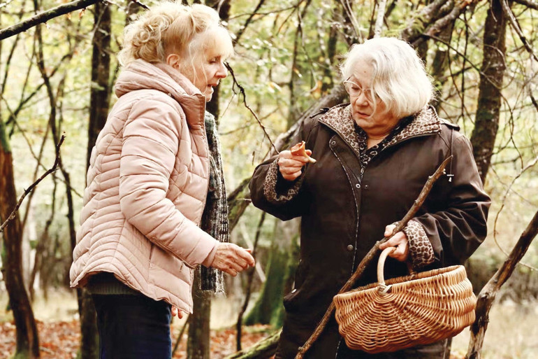 İstanbul Film Festivali: Bahar ‘festival’le gelir...