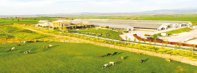 En iyi 10 yol üstü lezzet alışveriş durağı: ‘Yoldan çıkmaya’ değer...