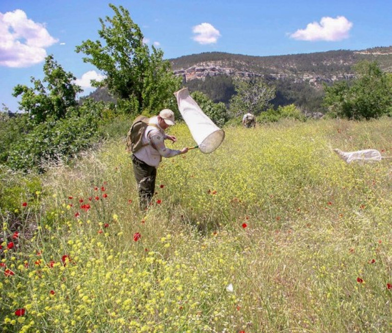 Keşfine verdiği isim herkesi şaşkına çevirmişti Sosyal medyada gündem olan akademisyen: Linçleneceğimi bilerek bu kararı verdim