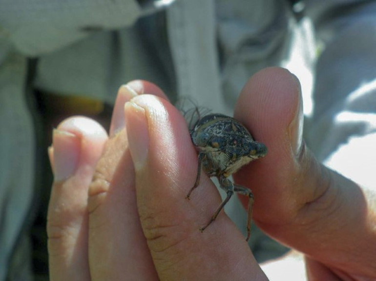 Keşfine verdiği isim herkesi şaşkına çevirmişti Sosyal medyada gündem olan akademisyen: Linçleneceğimi bilerek bu kararı verdim