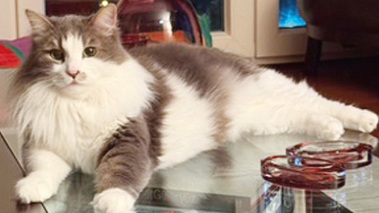 Onların yediklerine de aynı özeni gösteriyoruz