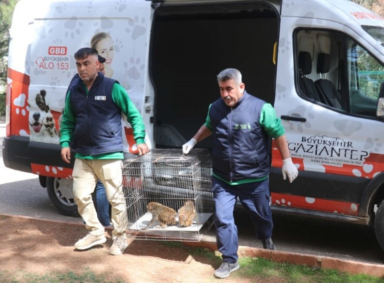 Yurda kaçak yollarla sokmuşlar: Şırnakta ele geçirildi