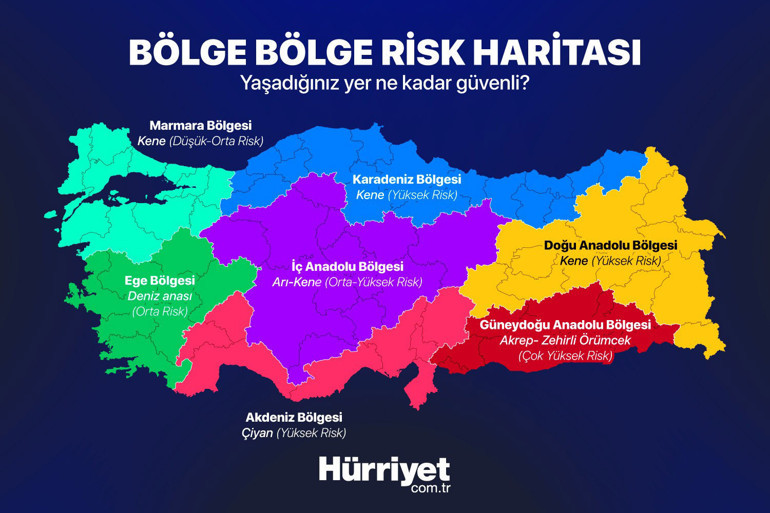 Böcek ısırığı deyip geçmeyin Her yıl yüz binlerce kişi ölüyor… İlk 15 dakika hayat kurtarıyor