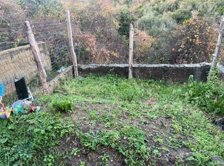 Ölüm döşeğinde gelen babalık itirafı Saçını ve tırnaklarını verip tüm haklarını al dedi | Dava açınca mezarı kaçırdılar