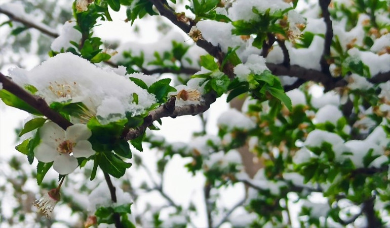 Nisan ayında kar sürprizi Evinden çıkanlar şaşkına döndü... Meteorolojiden çok sayıda il için sarı ve turuncu kodlu alarm