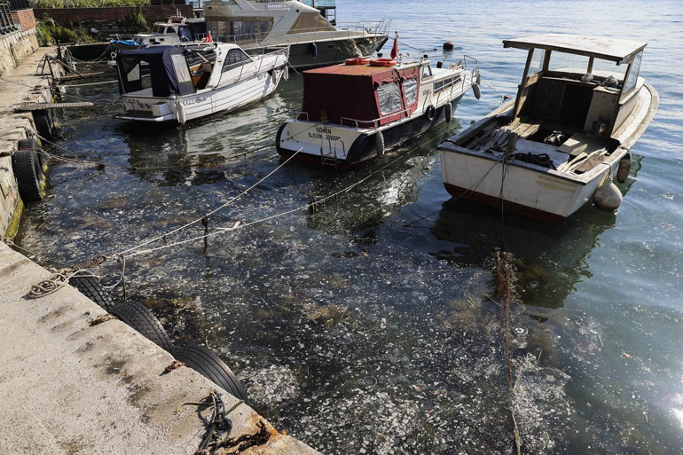 Müsilaj kabusu geri döndü... Deniz salyası bu kez Beykoz ve Kadıköy’de görüldü