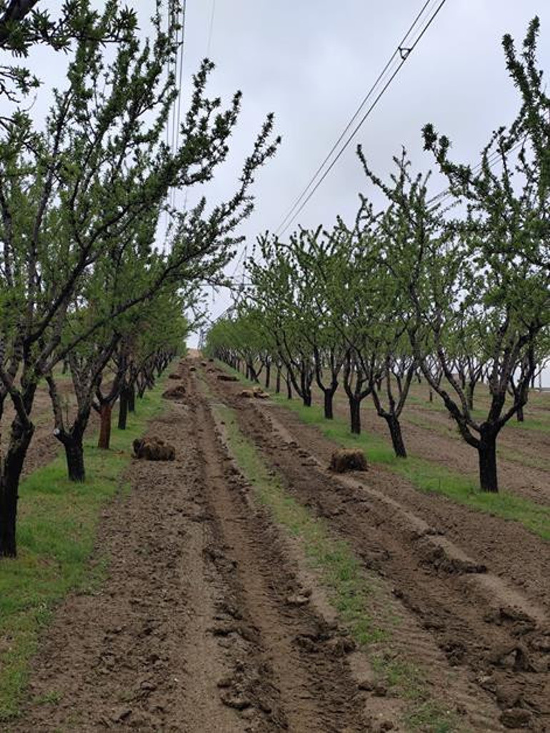 Karın da şakası yokmuş