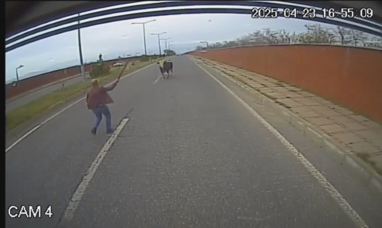 Eline aldığı sopayla indi, beklemediği hamleyle arkasına bakmadan tüydü | Erkekliğin yüzde 90ı kaçmaktır