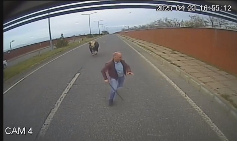 Eline aldığı sopayla indi, beklemediği hamleyle arkasına bakmadan tüydü | Erkekliğin yüzde 90ı kaçmaktır