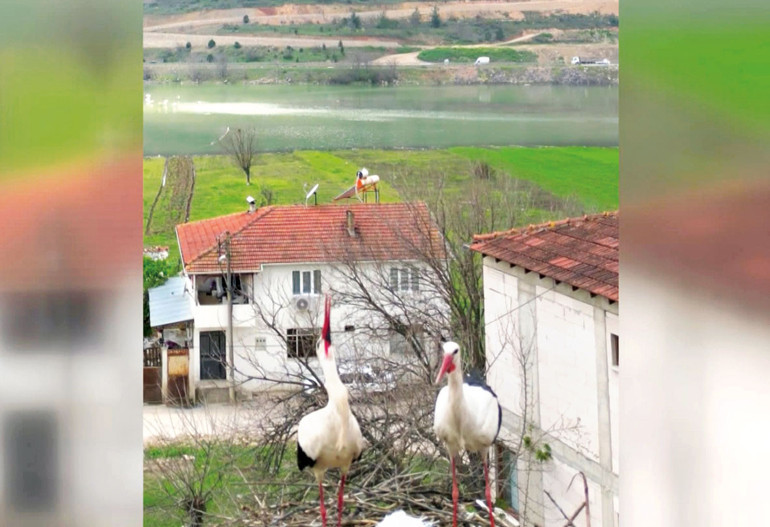 Gökyüzünde şenlik var