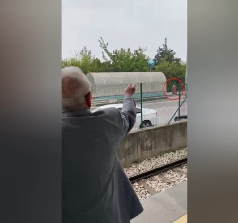 Torunu kayda aldı: Yaşlı adamın gülümseten anları... | Dede, babaannem nerede