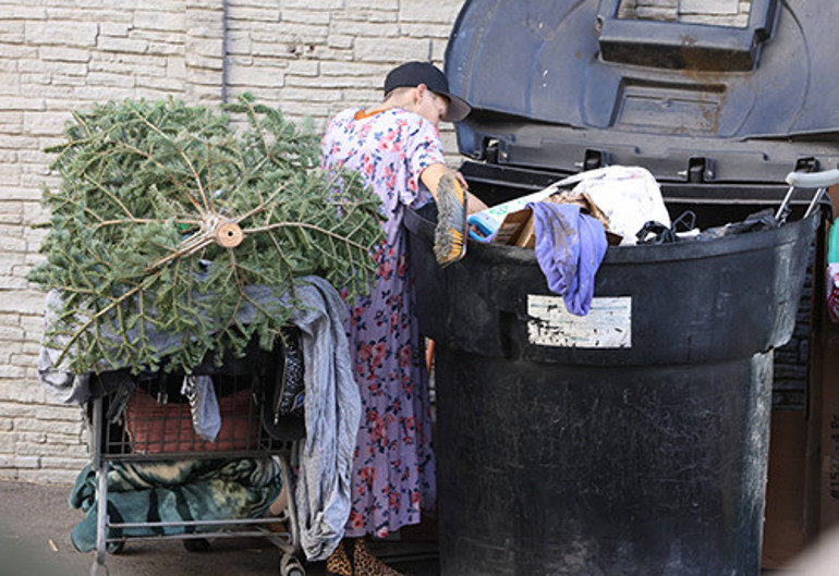 Pırıltılı hayatı bitti, sokaklara düştü... Bir dönemin ünlü ve güzel modeliydi... Yeni yaşına yine çöplükte girecek