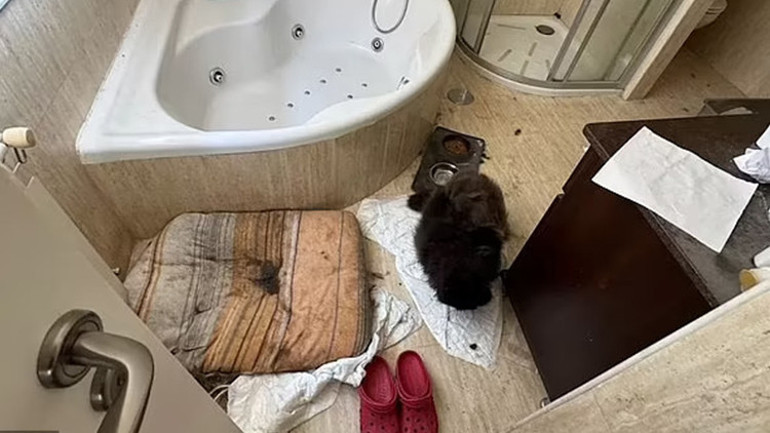 İspanyadaki korku evi: Ebeveynleri çocuklarını 4 yıl boyunca COVID karantinasına aldı
