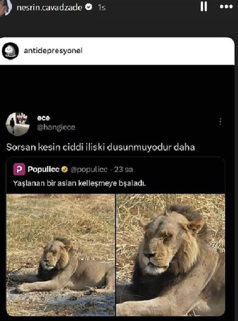 Cihanda DiCaprio, yurtta Kalben