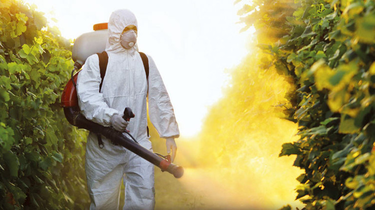 3 haftada 20 ürün geri döndü: Aflatoksin ve Pestisit'te neden sınıfta kalıyoruz | Fulya Soybaş Köşe Yazısı - Hürriyet Haberler