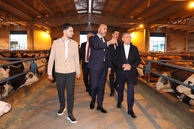 Oktay’dan hayvancılığın üssüne ziyaret... ‘Üreticinin yanındayız’