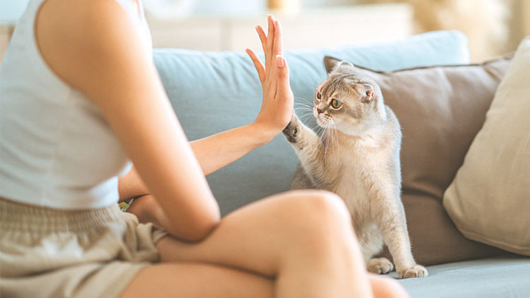 Yapay zeka sayesinde iletişim kuracağız