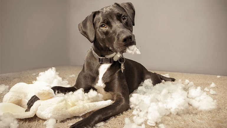 Yapay zeka sayesinde iletişim kuracağız