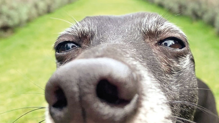 Yapay zeka sayesinde iletişim kuracağız