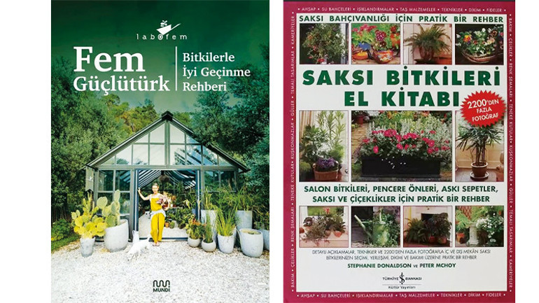 Bitkilerle iyi bir ilişki kurmak için...