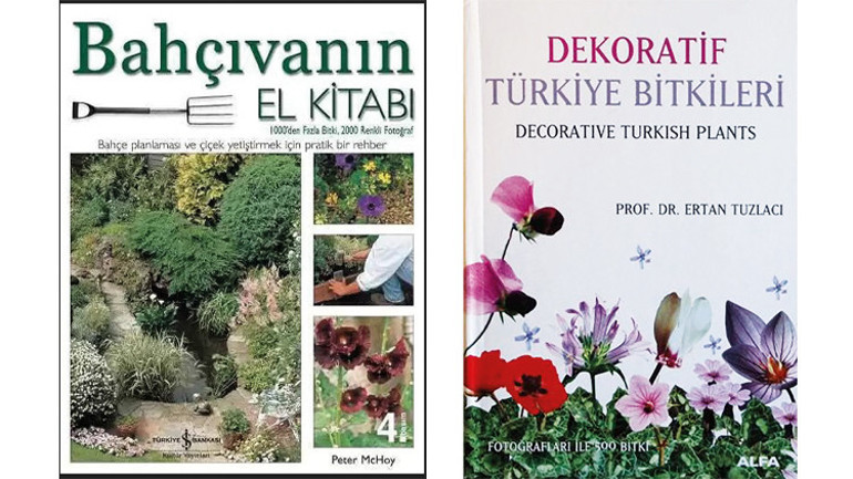 Bitkilerle iyi bir ilişki kurmak için...