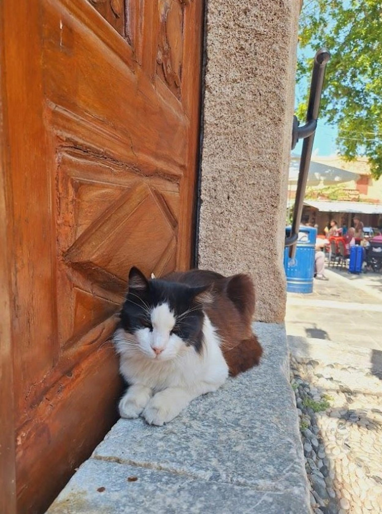 Ege’nin üç mücevheri: Rodos, Kos, Samos