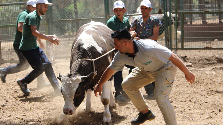 Gaziantepte özel tim kuruldu İhbar hattı devrede olacak