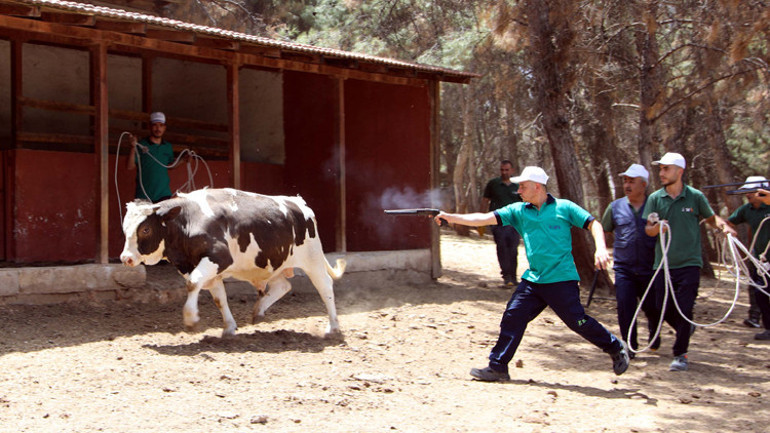 Gaziantepte özel tim kuruldu İhbar hattı devrede olacak