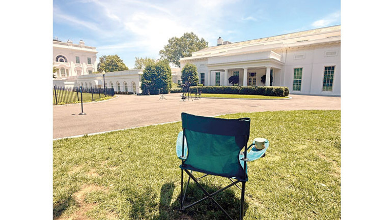 Şam havucu Washington sopası