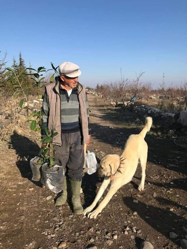 Film gibi hayatının arkasında acıklı bir hikaye vardı... Rahim Dede, elleriyle kurduğu ormana defnedildi