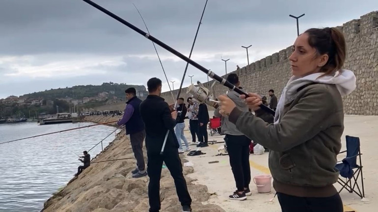 Sürü halinde geldiler... Duyanlar sabahın ilk ışıklarında sahile koştu