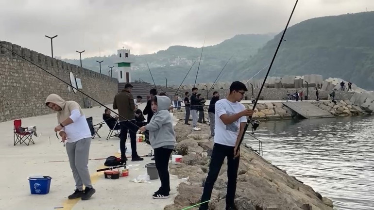 Sürü halinde geldiler... Duyanlar sabahın ilk ışıklarında sahile koştu