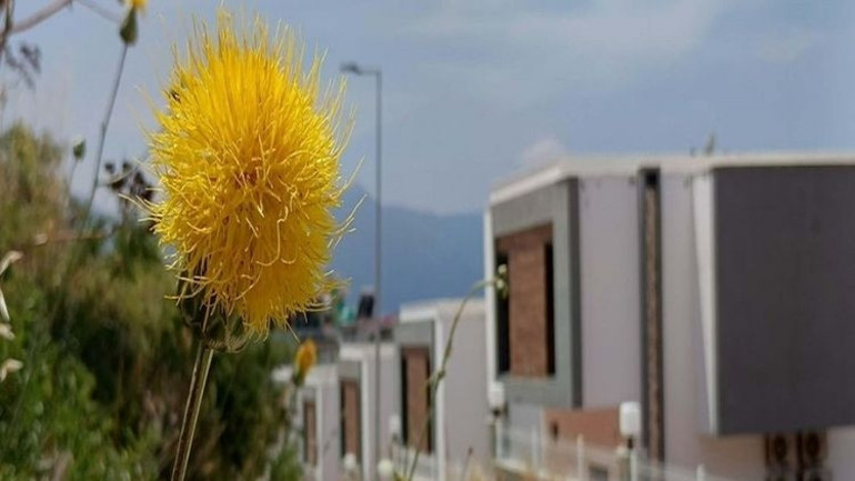 Tülüşahı koparan yandı, cezası 557 bin TL olarak belirlendi