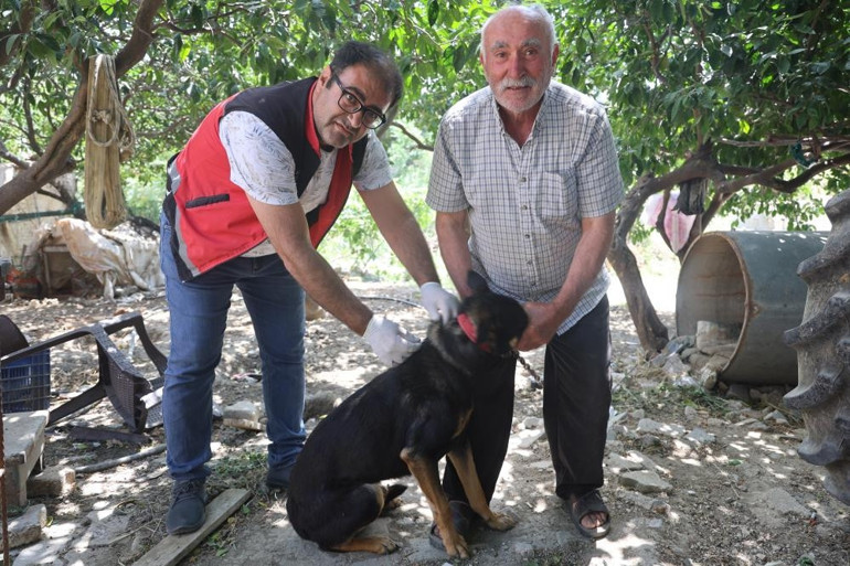 4 mahallede kuduz alarmı Köpekler toplanmaya başladı