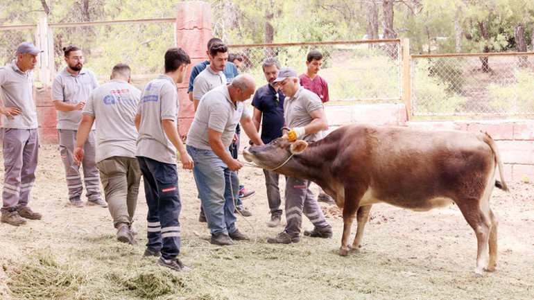 Kurban timi göreve hazır