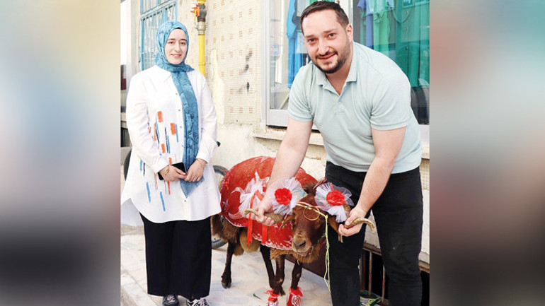 Dananın fotoğrafını çekerken öldü