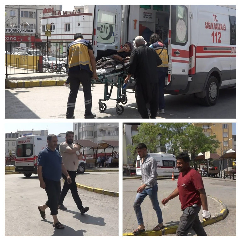 Manzara yine değişmedi Bir Kurban Bayramı klasiği: Koşarak geldiler