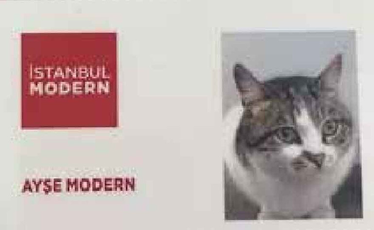 Troya’nın göbek bağı