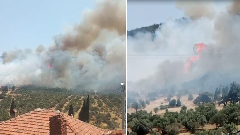 Son dakika... İzmir Foçada orman yangını Alevler bazı evlere sıçradı