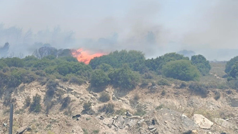 Son dakika... İzmir Foçada orman yangını Alevler bazı evlere sıçradı