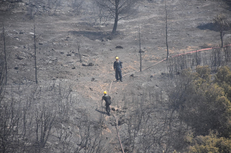 Son dakika... İzmir Foçada orman yangını Alevler bazı evlere sıçradı