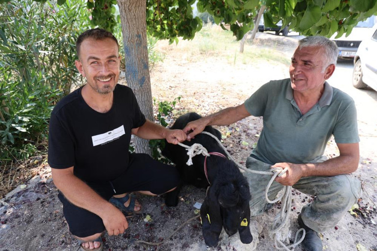 Adanada 10 gündür aranıyordu 2,5 saatte yakalandı kesilip dağıtılacak