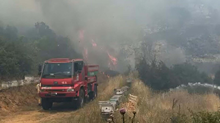 Bursa ve Balıkesirde orman yangını: Havadan ve karadan müdahale ediliyor