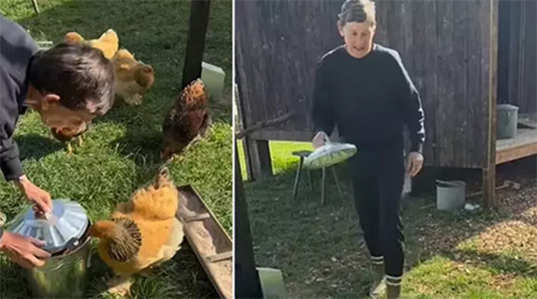 Buyur işte sana çiftlik hayatı: Ünlü sunucunun evini koyunlar bastı: Açık kapıdan içeri süzüldüler