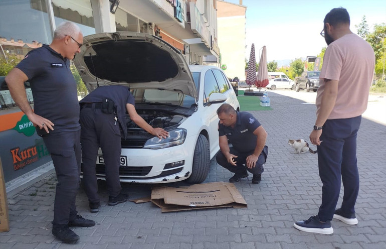 Anne kedi, yavruları kurtarılana kadar araç başında bekledi