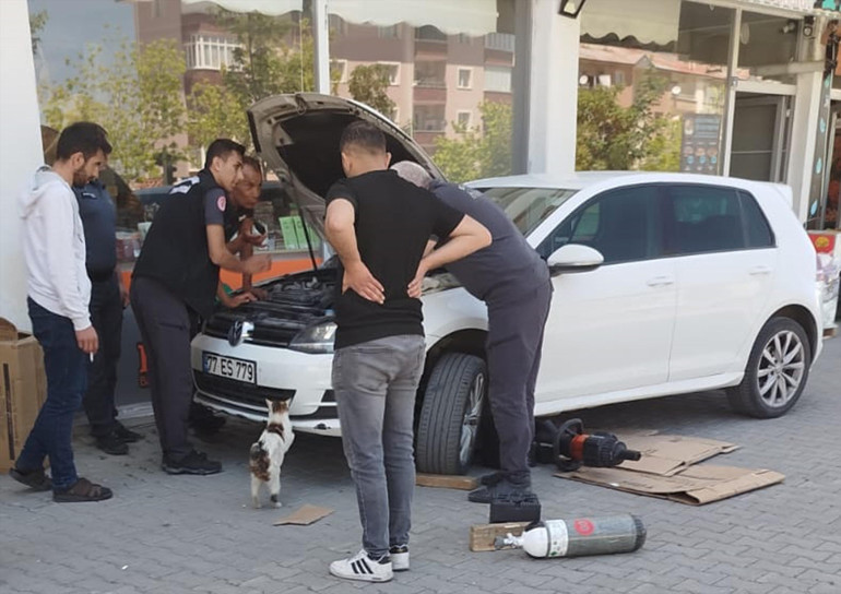 Anne kedi, yavruları kurtarılana kadar araç başında bekledi