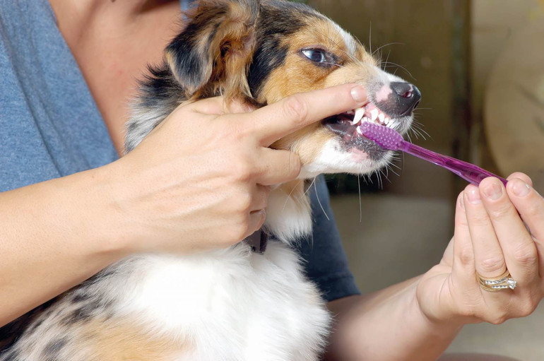 Mesele iyi bir ebeveyn olabilmek…