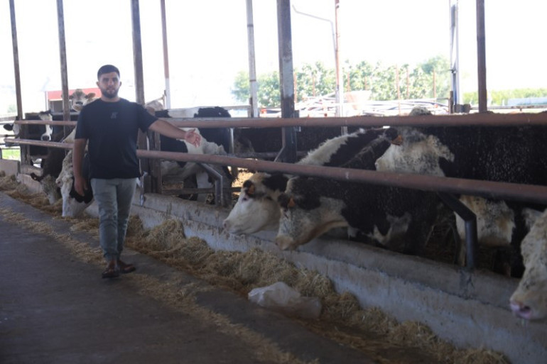 İnsanları düşman gibi görüp saldırıyor | Yurt dışından getirdi, araçtan indirirken elinden kaçırdı